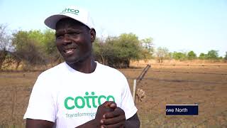 OUR FARMING - Cotton Farming EP 2