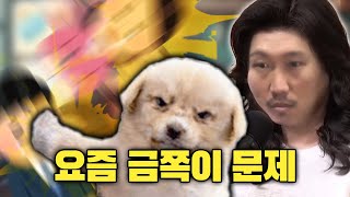 실패한 가정교육의 결과...!