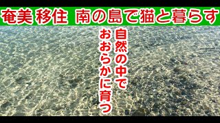 南の島。田舎暮らしのスローライフ。田舎で猫暮らし、子供達にトムソーヤのように自然の中でおおらかに育ってほしい。奄美大島に移住