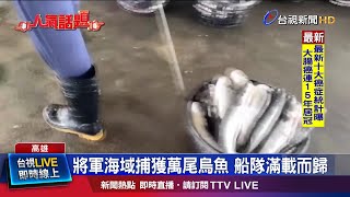 烏金來了! 漁市場民眾圍觀 熱鬧滾滾