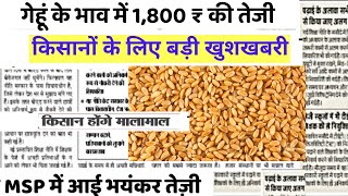 28 फरवरी 2025  गेहूँ का भाव गेहूँ के भाव में तूफानी तेजी देखें भाव, Gehu ka Bhav,Wheat rate today