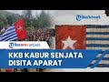 Tim Gabungan TNI-Polri Gerebek Markas KKB Papua Buntut Aksi Teror Pembakaran Alat Berat di Yapen