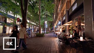 【4K】 Tokyo Night Walk | After Work in Marunouchi, Yurakucho | Quiet and Bustling Business Area