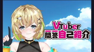 VTuber一问一答自我介绍～