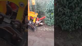 Doosan DX55W + pazzaglia fz80 rootballing unit