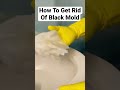 How To Get Rid of BLACK MOLD in a Toilet Bowl with Cleaning Vinegar #shorts