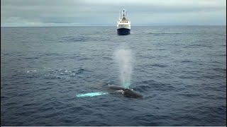 Why We Explore: A Collaboration with @oceanexplorergov and @SchmidtOceanVideos | Nautilus Live