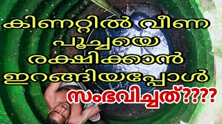 കിണറ്റിൽ വീണ പൂച്ചയെ രക്ഷപെടുത്താൻ ശ്രമിച്ചപ്പോൾ?? | rescue a cat that had fallen into a well