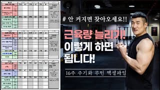 근육량 늘리기! 그냥 이 루틴 따라하세요! 절대 후회 없을 것입니다. 루틴 엑셀![트리거15초]