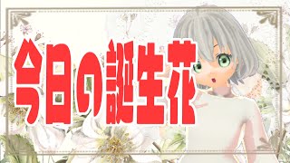 【花言葉】１２月２６日の誕生花は？／花白もか