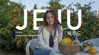 Jeju Island Travel Vlog I Cafes, Tangerine Farm, and White Sandy Beaches! 🏖️ | South Korea