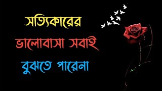 সত্যিকারের ভালোবাসা সবাই বুঝতে পারেনা | Best motivational bangla video | Misti Bangla Story