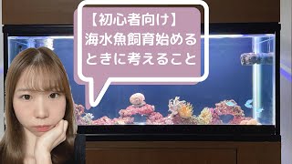 【初心者向け】海水魚飼育を始めるときに考えることについて