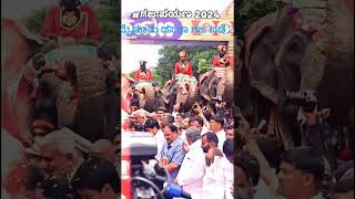 Mysore Dasara 2024 Elephants force(#Gajapade) #ಮೈಸೂರುದಸರಾ #ಗಜಪಡೆ #೨೦೨೪ #Mysoredasara2024 #ದಸರಾಆನೆಗಳು