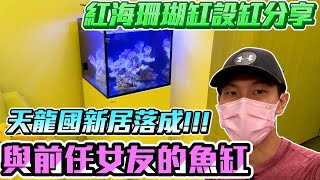 【藍箱水族】台北市新裝潢家的海水缸設缸分享！重返海水世界！與前女友的魚缸？