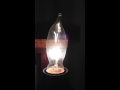 Light Bulb