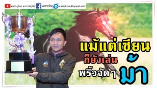 หมากเด็ดแต้มเซียน EP74: ม้าตัวนี้ทำไมมันดีดกว่าชาวบ้านเขา (AI ท้ายคลิป)