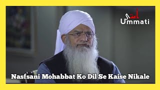 Nasfsani Khwahish se kaise bache | nafsani Mohabbat se kaise bache | Maulana Peer Zulfiqar sahab DB