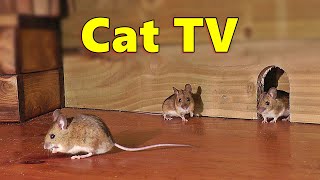 Cat TV ~ Mice in The Jerry Mouse Hole 🐭 8 HOURS 🐭 s for Cats