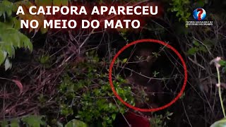 A CAIPORA APARRECEU  E FICAMOS PERDIDOS NO MEIO DO MATO