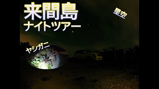 宮古島ナイトツアーヤシガニ＆星空鑑賞