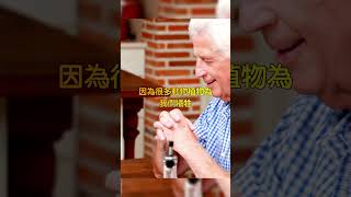 打破迷思！飲食新觀念：彈性飲食比三餐更健康