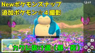 【Newポケモンスナップ】カクレ抜け道、アップデート追加ポケモン☆４撮影