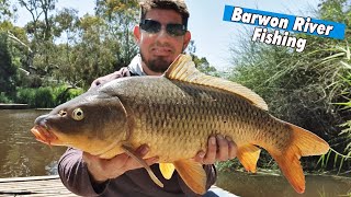 Barwon River Fishing Geelong Redfin, Estuary Perch & Carp