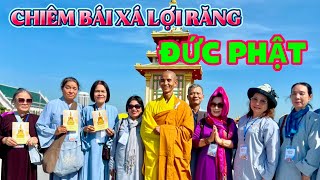 Trung Quốc đưa Xá Lợi Răng Đức Phật qua Thái trong 3 tháng để Phật tử chiêm bái #thichtamhoan #vlog