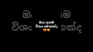 උත්තරේ මොකක්ද