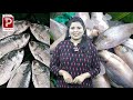 పులస చేపను తింటే ఏమవుతుందో తెలుసా.. do you know what happens if you eat pulasa fish popular tv