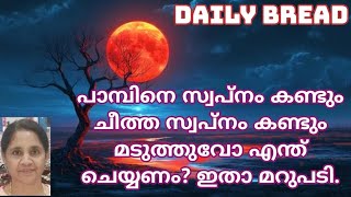 പാമ്പിനെ സ്വപ്നം കണ്ടും ചീത്ത സ്വപ്നം കണ്ടും  മടുത്തുവോ എന്ത് ചെയ്യണം? ഇതാ മറുപടി.