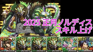 【正月ノルディス】2025年 スキル上げ周回用【パズドラ】