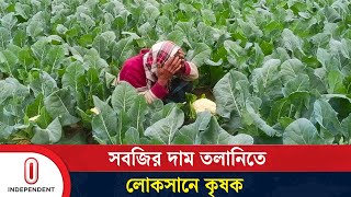 চড়ামূল্যের বাজারে ক্রেতার মুখে হাসি ফুটলেও কৃষকের ‘মাথায় বাড়ি’ | Vegetables Price | Independent TV