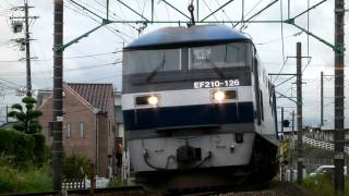 東海道上り遅延貨物列車　EF210-126号機牽引