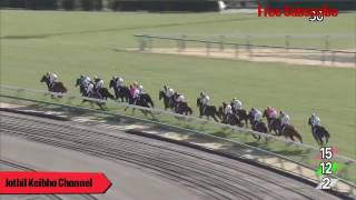 【競馬】 金鯱賞ＧＩＩ2017 ヤマカツエース