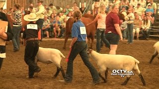 Young Albertans exhibit their animal skills at Summer Synergy 2015