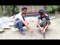 how to tame a bird easily শালিক পাখি পোষ মানানোর কৌশল