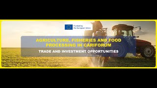 CARIFORUM-EU EPA Webinar, 20 July 2023 - Full video English