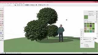 Как сделать растение в SketchUp из фотографии