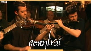 Tap Room Trio - Harry Bradley, Jesse Smith \u0026 John Blake w/ Pádraig Ó hOibicín | Tigh Dolan | TG4