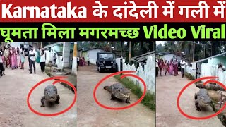 Karnataka के दांदेली में गली में घूमता मिला मगरमच्छ Video Viral