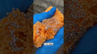 Mind Blowing Facts That Will Make Your Brain Explode