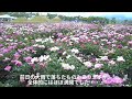 2017 06 03色麻町・愛宕山公園