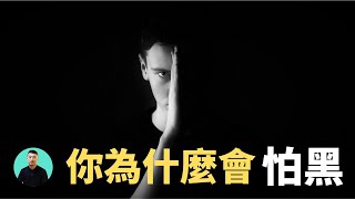 怕黑是刻在基因裡的恐懼，黑暗究竟會帶來多大的傷害｜ZE先生