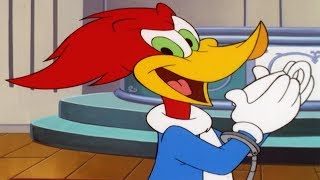Woody Woodpecker Show | Spy Guy | Full Episode | Videos For Kids