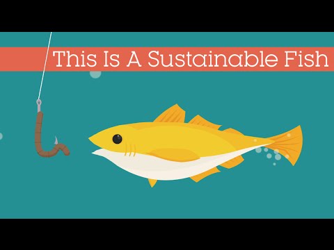 What makes a sustainable fishery?