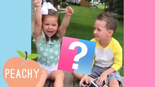 You Will Love These Funny and Adorable Reactions | Gender Reveal 2019