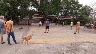 VOLEY BALZAR 21/06/2024 PESCADO LE GANA AL VIGENTE CAMPEÓN DANY  ACOMPAÑADO DE CUBILLOS Y LEON.