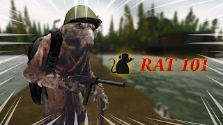 Ratting 101 in Tarkov🐀